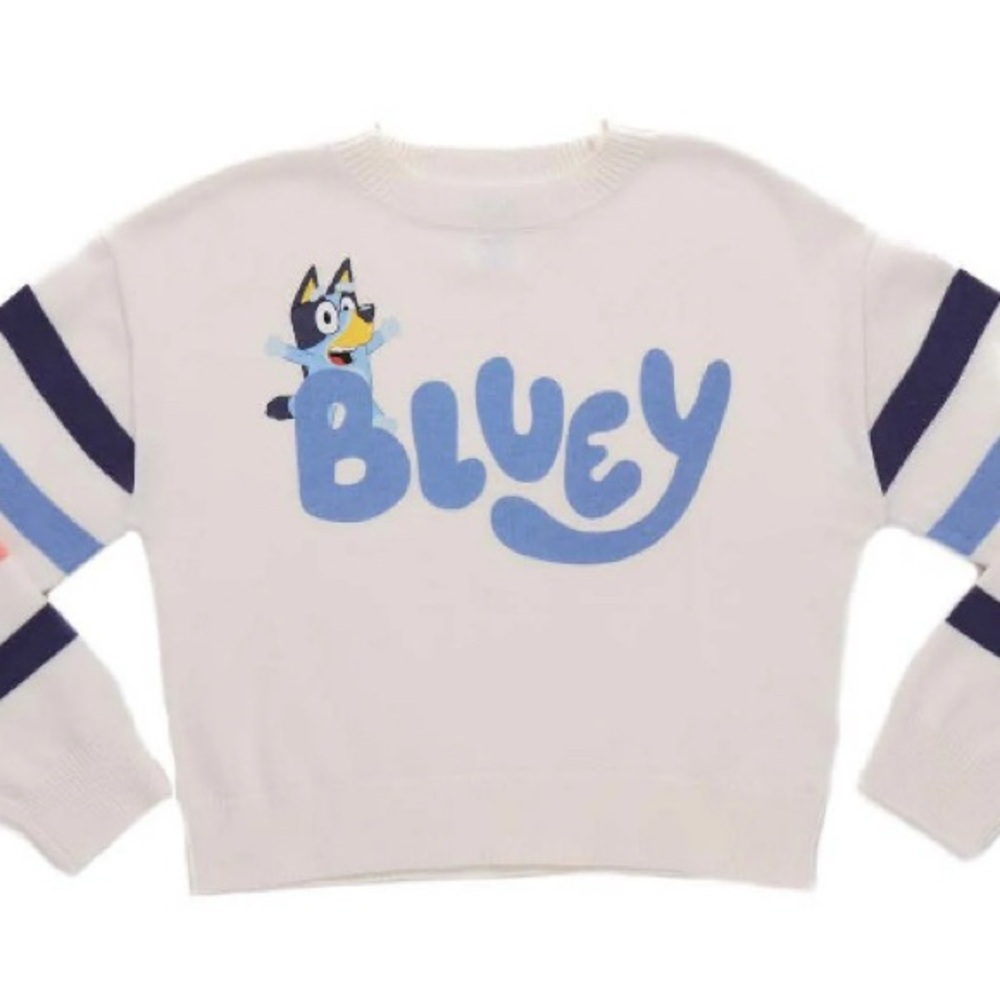 Bluey Girl’s Graphic Long Sleeve Sweater White Blue Size XLarge 14/16 NWT